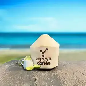 Lime Coconut
